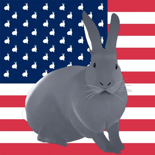 GRIS PERLE FLAG rabbit flag Showroom - Inkjet on plexi, limited editions, numbered and signed. Wildlife painting Art and decoration. Click to select an image, organise your own set, order from the painter on line